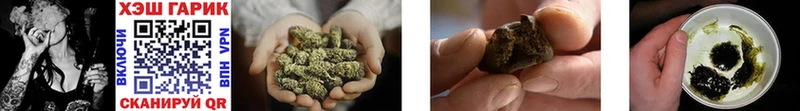 ГАШ hashish  дарнет шоп  Светлоград 