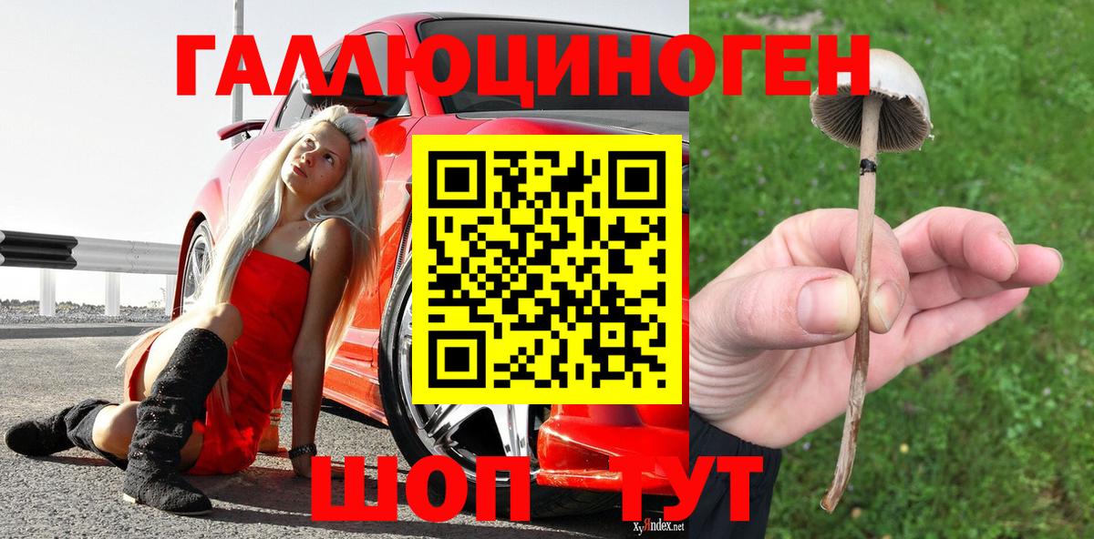 Псилоцибиновые грибы Magic Shrooms Светлоград