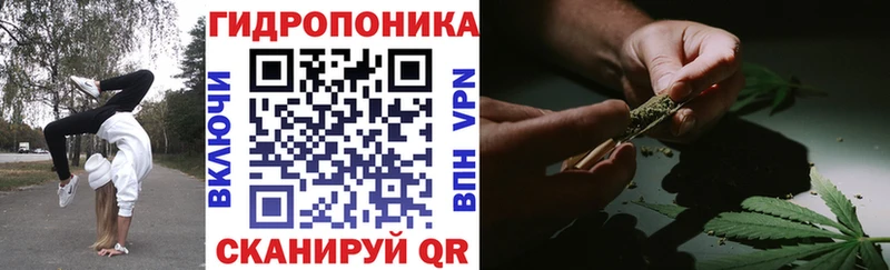 где продают наркотики  Светлоград  darknet формула  Канабис планчик 